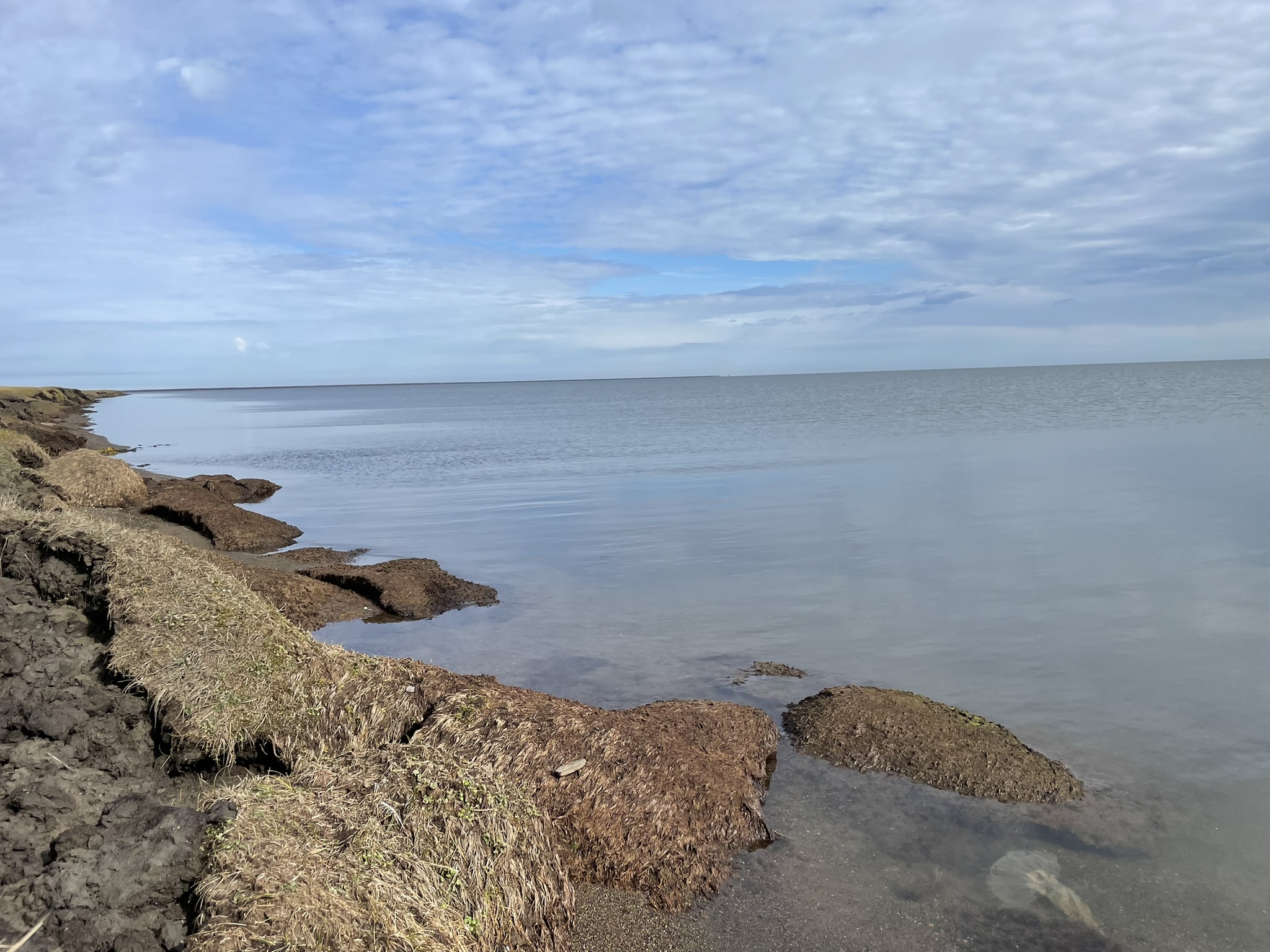 Eroding coastal bluffs along Elson Lagoon near Utqiagvik, AK