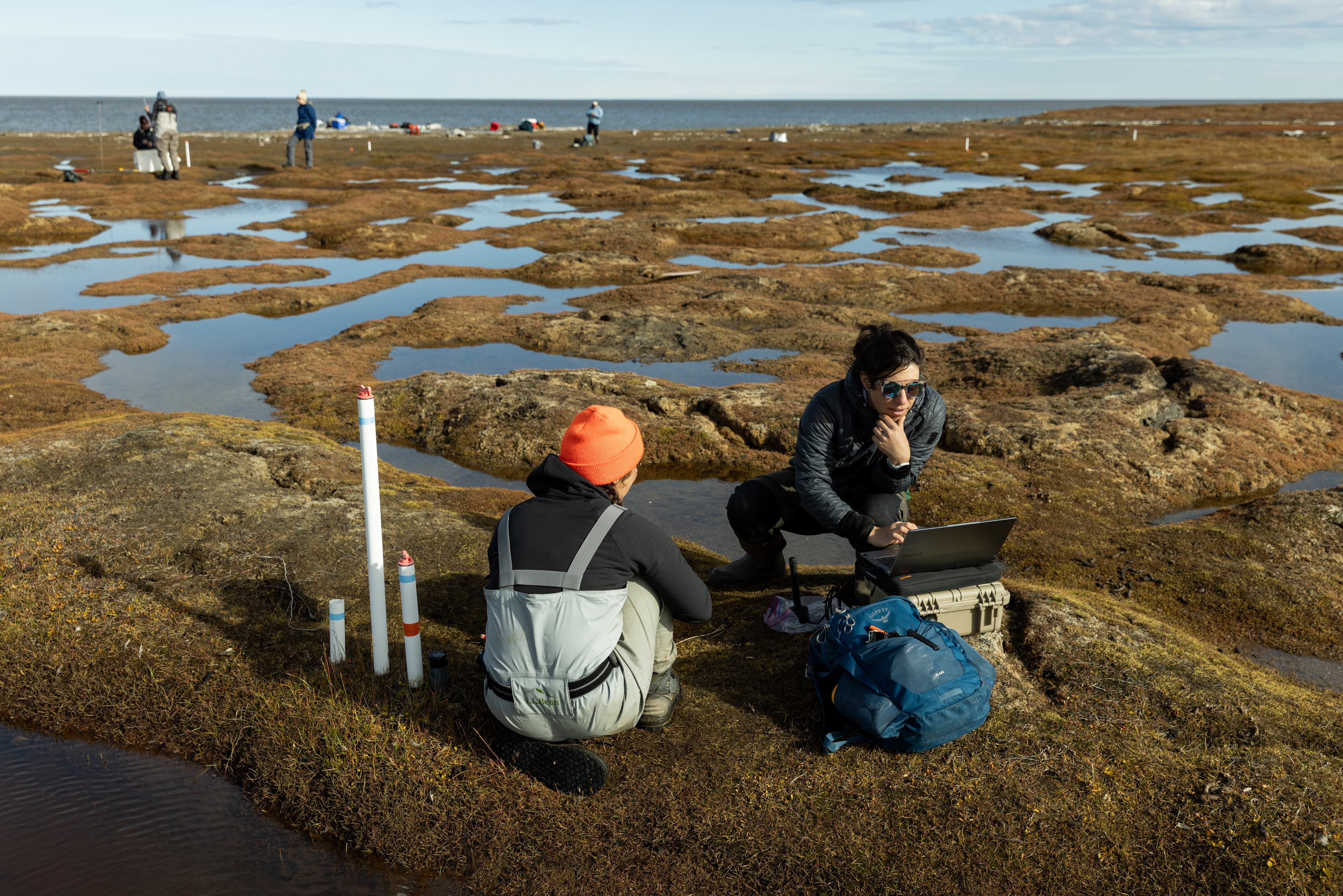 Coastal inundation and tundra hydrology