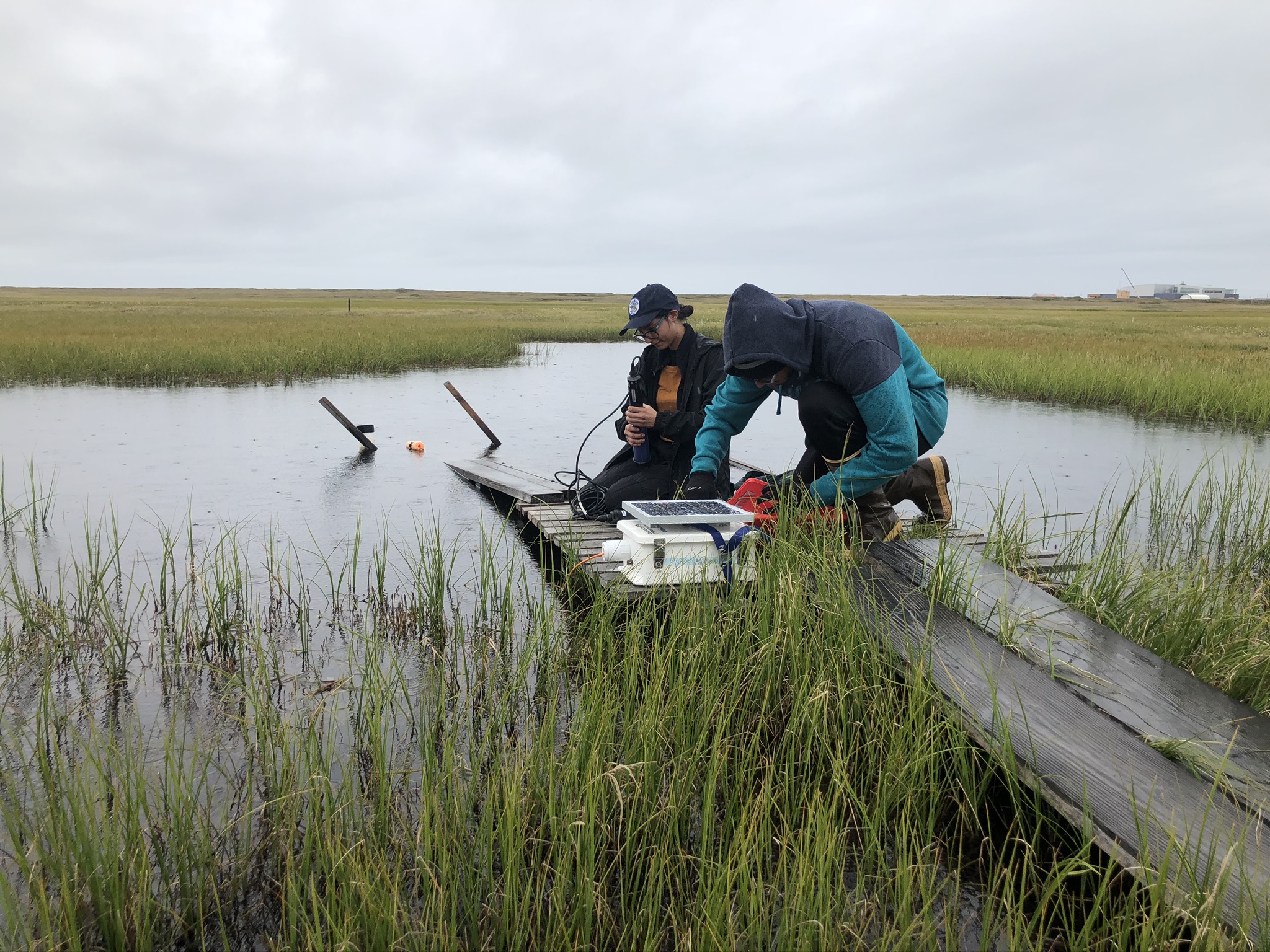 Biogeochemical impacts of thermal alteration
